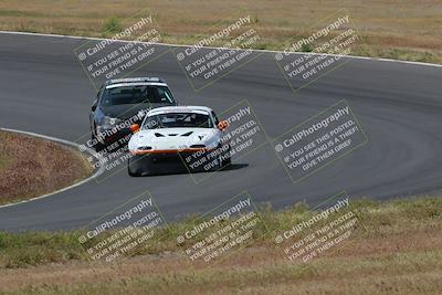 media/May-04-2024-Lucky Dog Racing (Sat) [[d39539b3f3]]/Race Pics/1015am (Turn 2)/